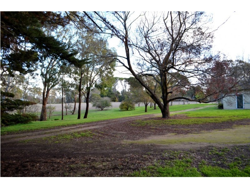 6638 Frances Road, Kybybolite SA 5262