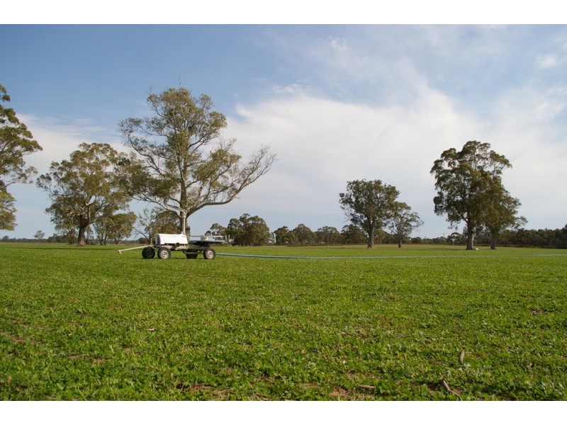 238 Chapples Road, Kybybolite SA 5262