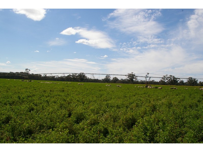 238 Chapples Road, Kybybolite SA 5262