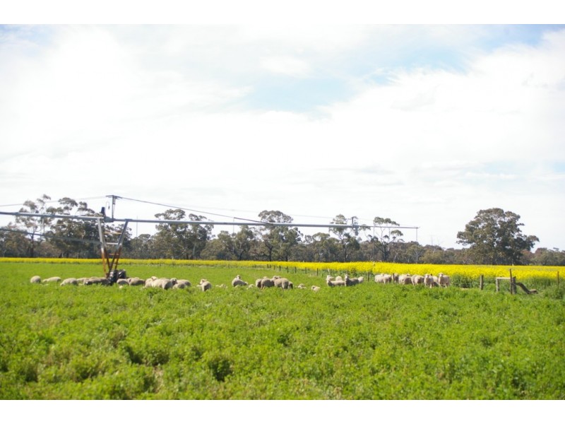 238 Chapples Road, Kybybolite SA 5262