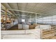 0 “Johnos” Riddoch Highway, Keith SA 5267