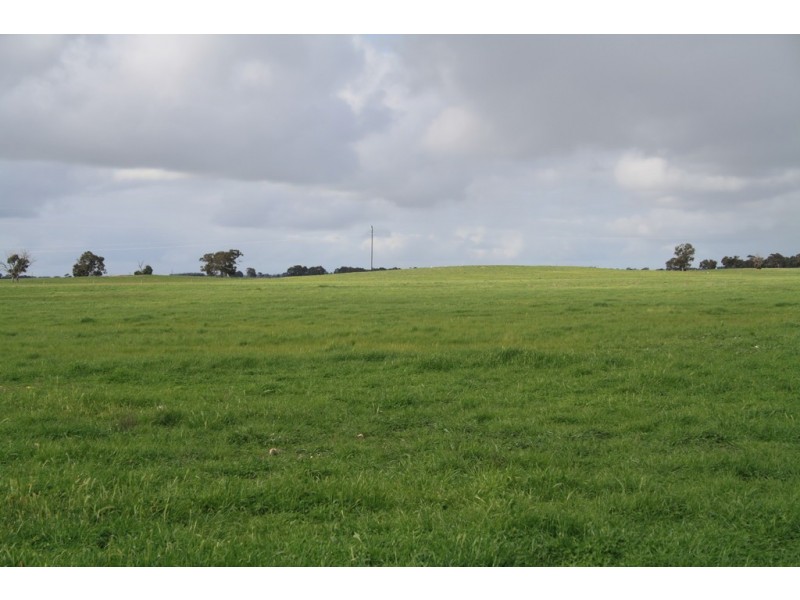 0 “Johnos” Riddoch Highway, Keith SA 5267