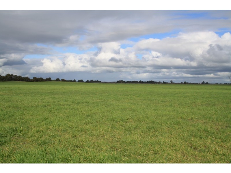 0 “Johnos” Riddoch Highway, Keith SA 5267