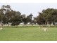 0 “Johnos” Riddoch Highway, Keith SA 5267