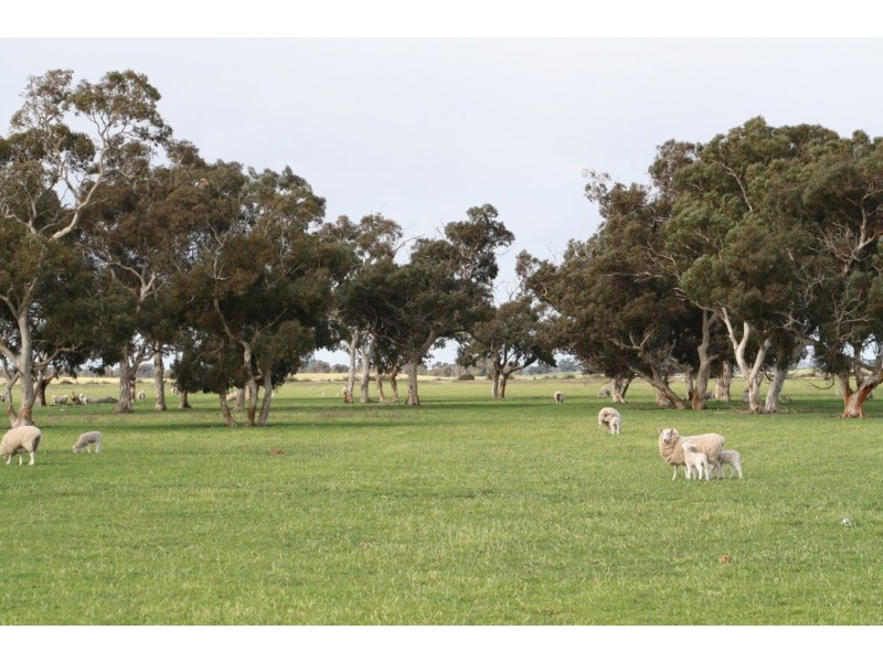 0 “Johnos” Riddoch Highway, Keith SA 5267