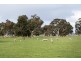 0 “Johnos” Riddoch Highway, Keith SA 5267