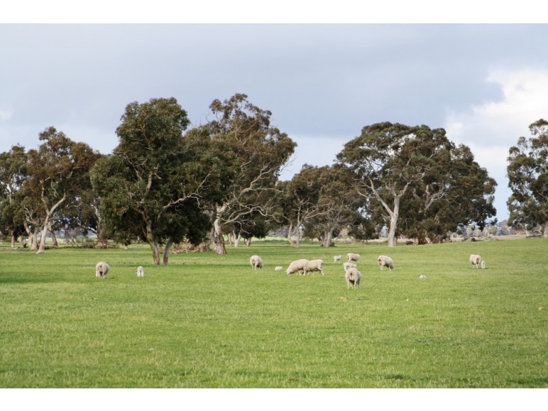 0 “Johnos” Riddoch Highway, Keith SA 5267