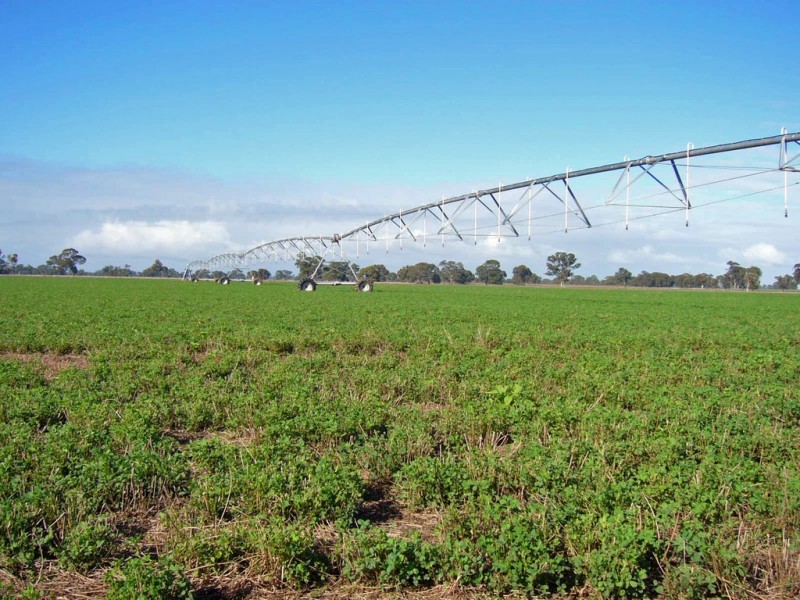 538 Jessie Road, Naracoorte SA 5271