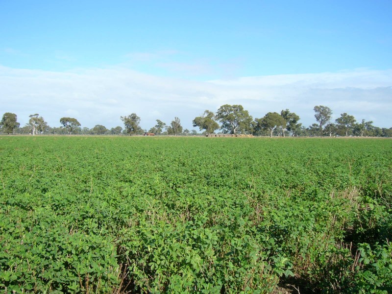 538 Jessie Road, Naracoorte SA 5271