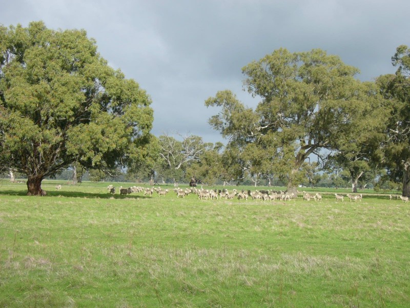 538 Jessie Road, Naracoorte SA 5271