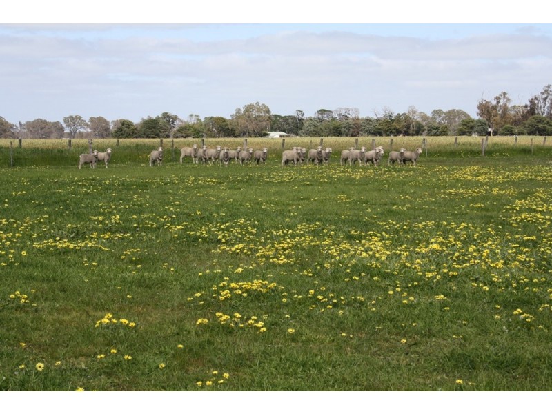 538 Jessie Road, Naracoorte SA 5271