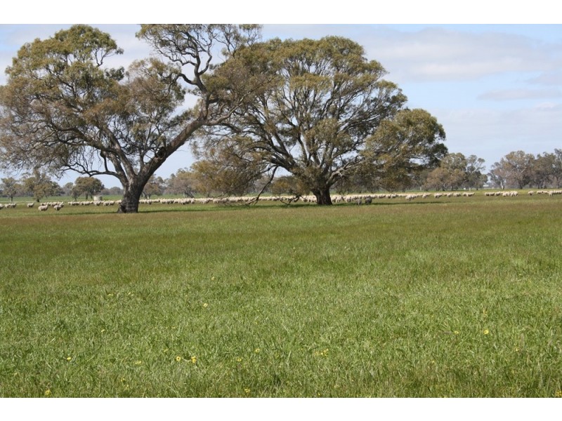 538 Jessie Road, Naracoorte SA 5271