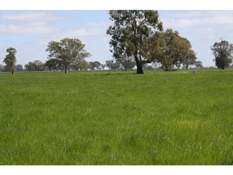 538 Jessie Road, Naracoorte SA 5271