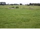 1040 Bowaka Road, Reedy Creek SA 5275