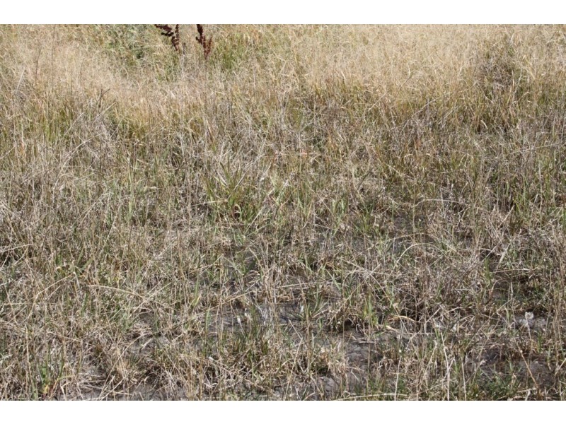 0 Gum Point, Naracoorte SA 5271