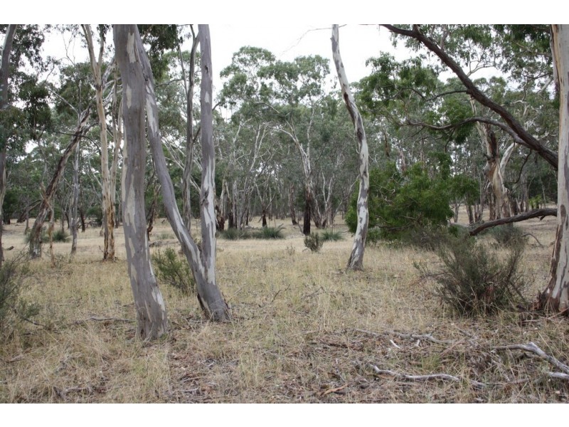 2 Walkington Hills Road, Frances SA 5262