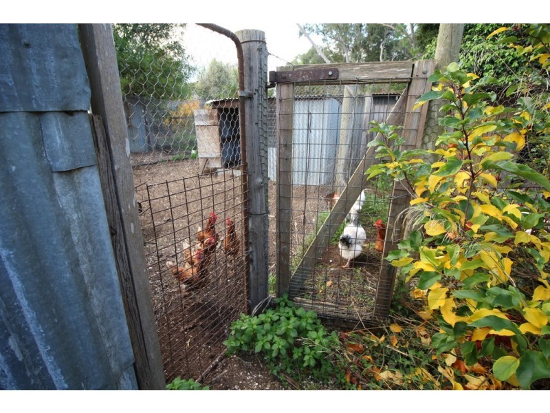 8-12 Ferguson Road, Lucindale SA 5272