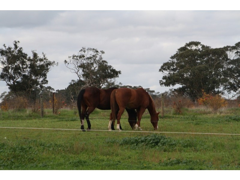 1760 Cadgee Road, Naracoorte SA 5271