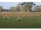 1760 Cadgee Road, Naracoorte SA 5271
