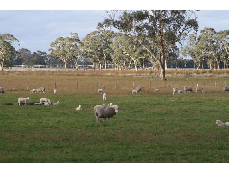 1760 Cadgee Road, Naracoorte SA 5271