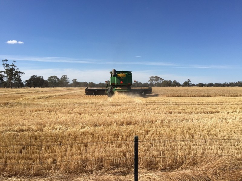 260 Crinogle Road, Frances SA 5262