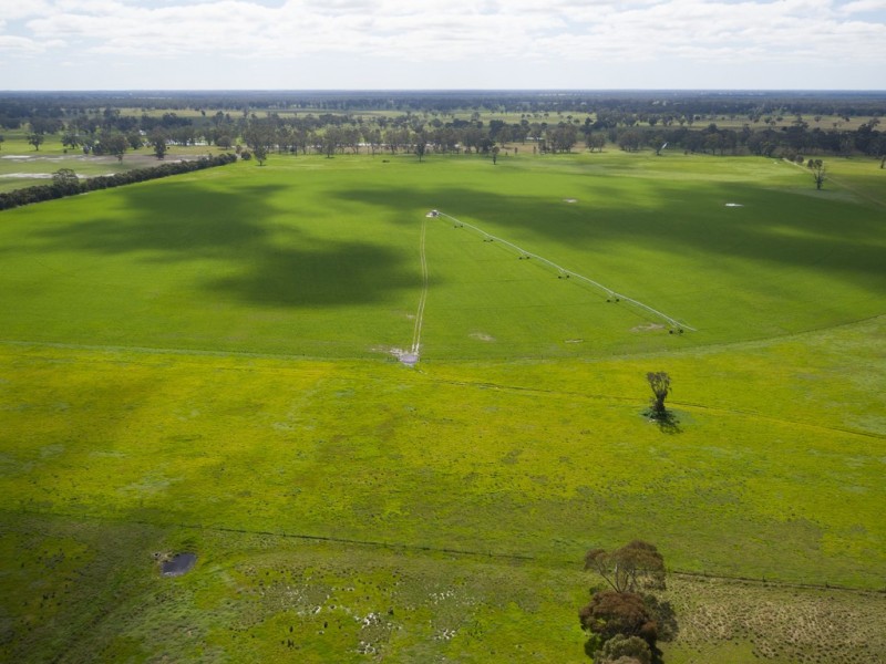 260 Crinogle Road, Frances SA 5262