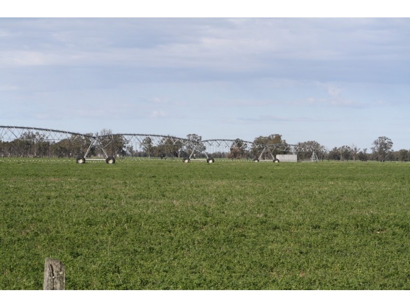 260 Crinogle Road, Frances SA 5262