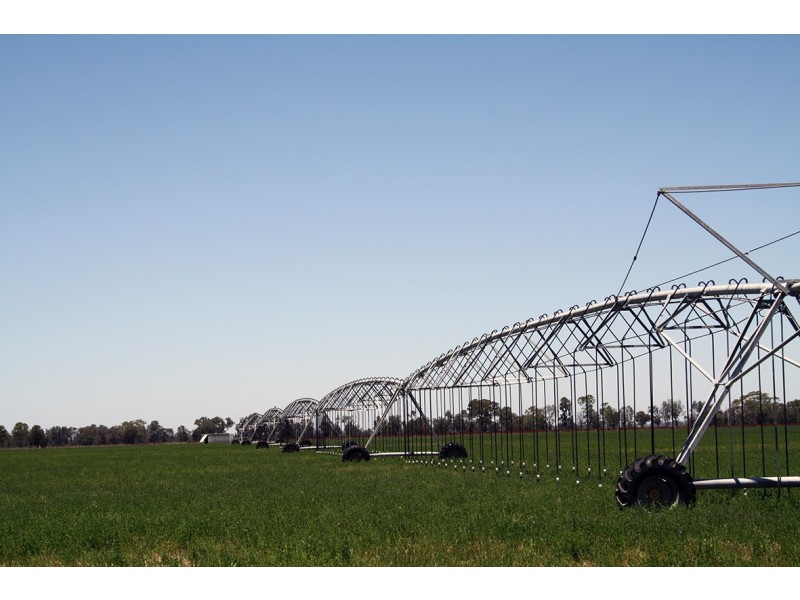 260 Crinogle Road, Frances SA 5262