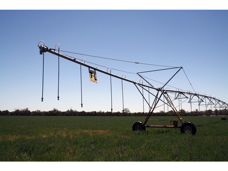 260 Crinogle Road, Frances SA 5262