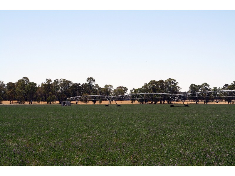 260 Crinogle Road, Frances SA 5262