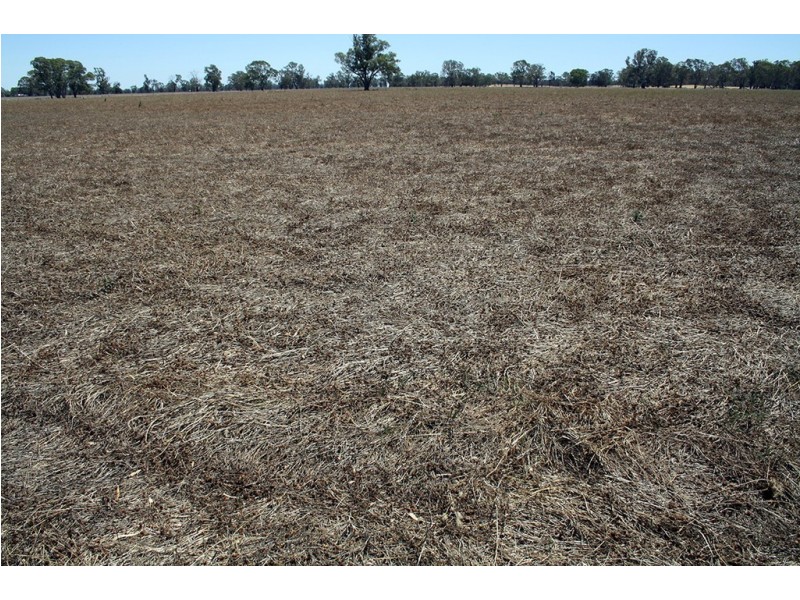 260 Crinogle Road, Frances SA 5262