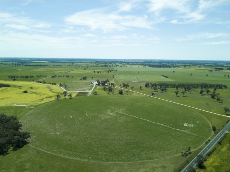 828 Padthaway Road, Mundulla SA 5270