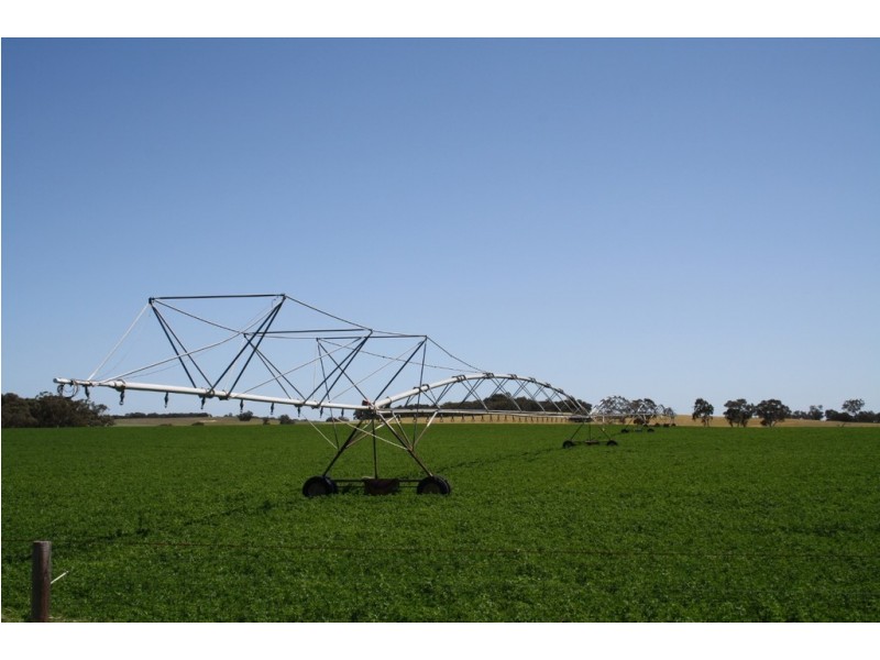 828 Padthaway Road, Mundulla SA 5270