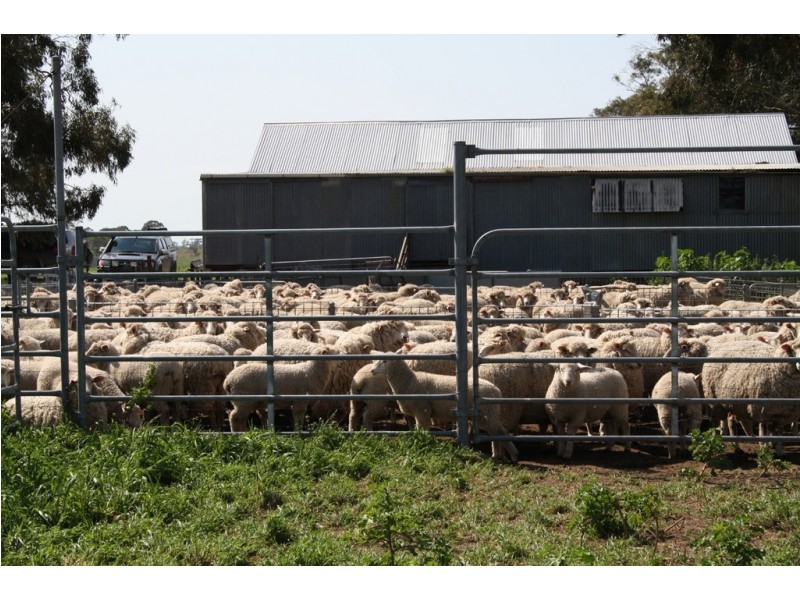 828 Padthaway Road, Mundulla SA 5270