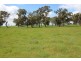 Naracoorte SA 5271