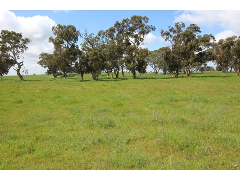 Naracoorte SA 5271