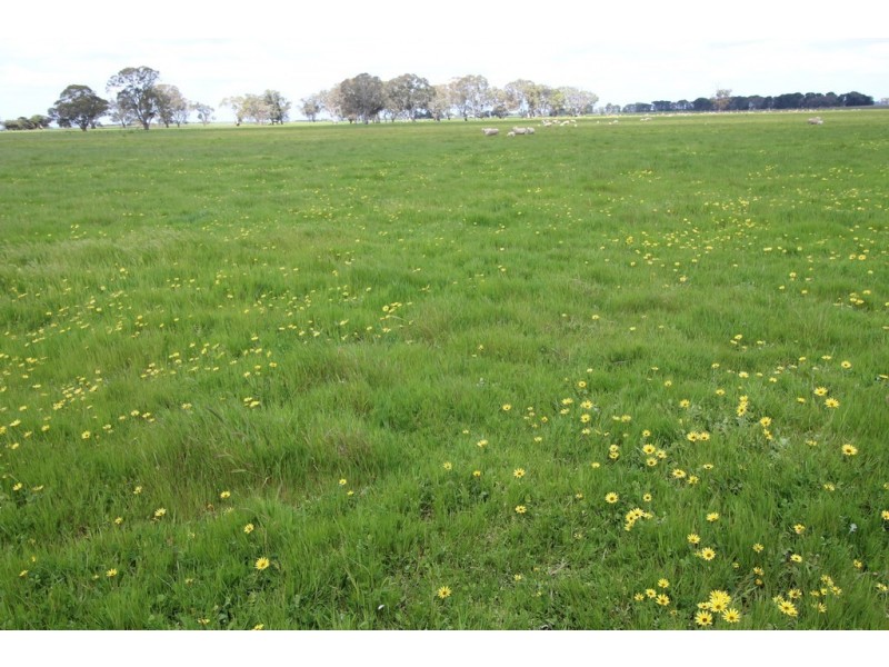 Naracoorte SA 5271