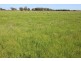 Naracoorte SA 5271