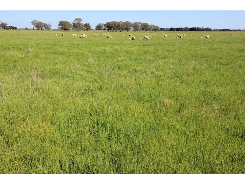 Naracoorte SA 5271