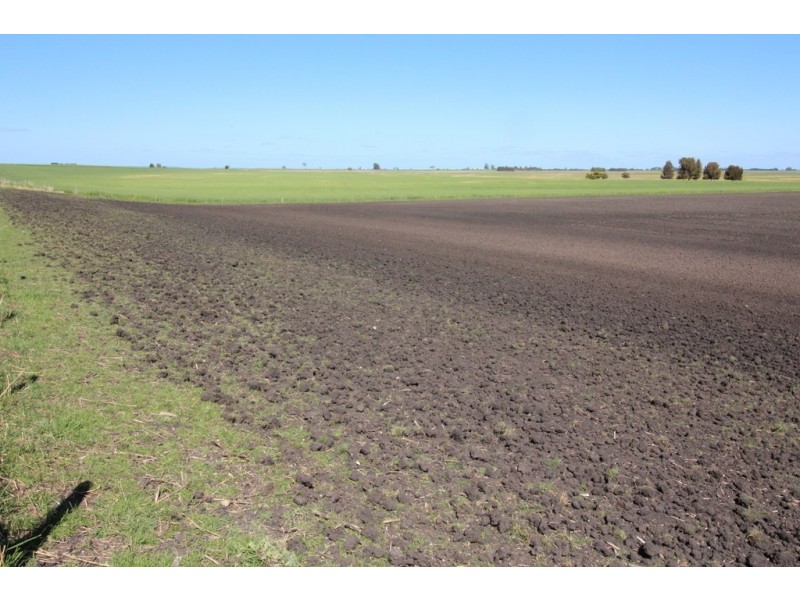 Naracoorte SA 5271