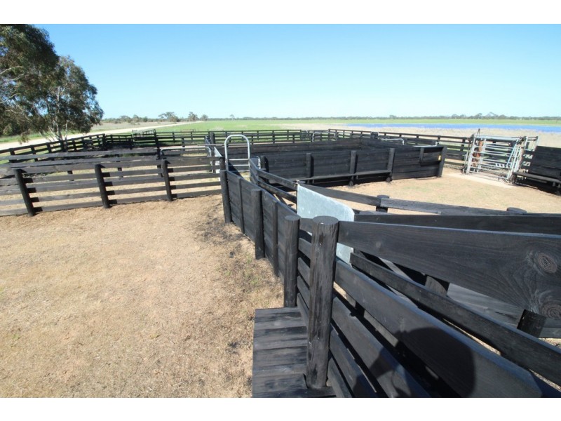 5 Moyhall Road, Naracoorte SA 5271