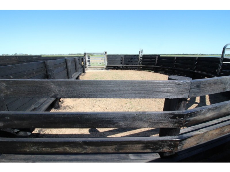 5 Moyhall Road, Naracoorte SA 5271