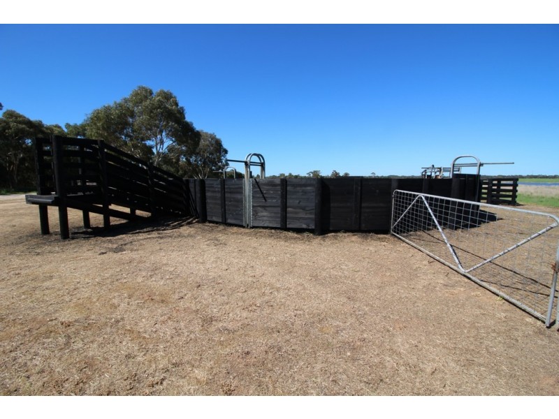 5 Moyhall Road, Naracoorte SA 5271