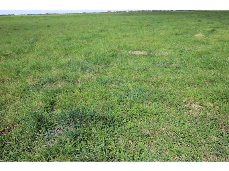 5 Moyhall Road, Naracoorte SA 5271