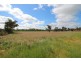 177 Roach Road, Lucindale SA 5272