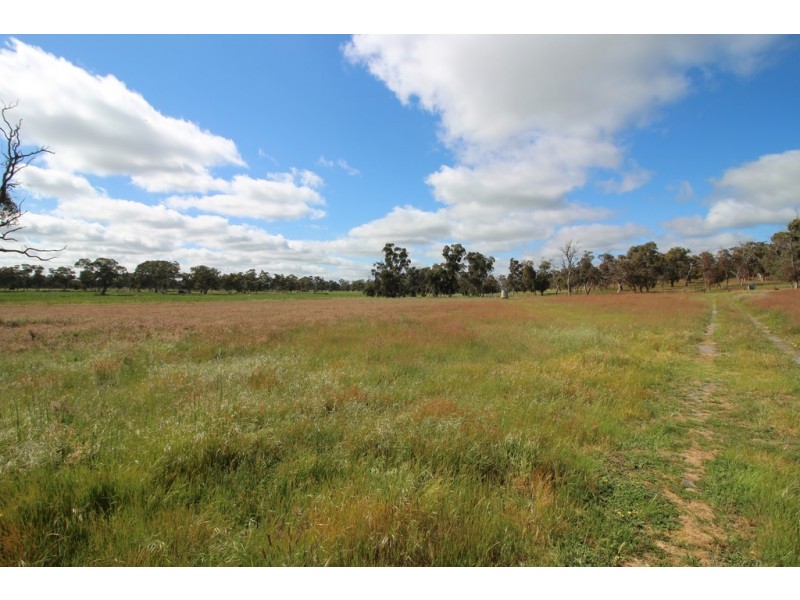 177 Roach Road, Lucindale SA 5272