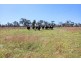 10373 Riddoch Highway, Naracoorte SA 5271