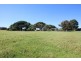 10373 Riddoch Highway, Naracoorte SA 5271