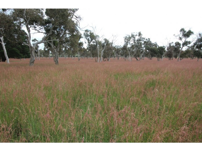 10373 Riddoch Highway, Naracoorte SA 5271