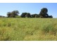 10373 Riddoch Highway, Naracoorte SA 5271